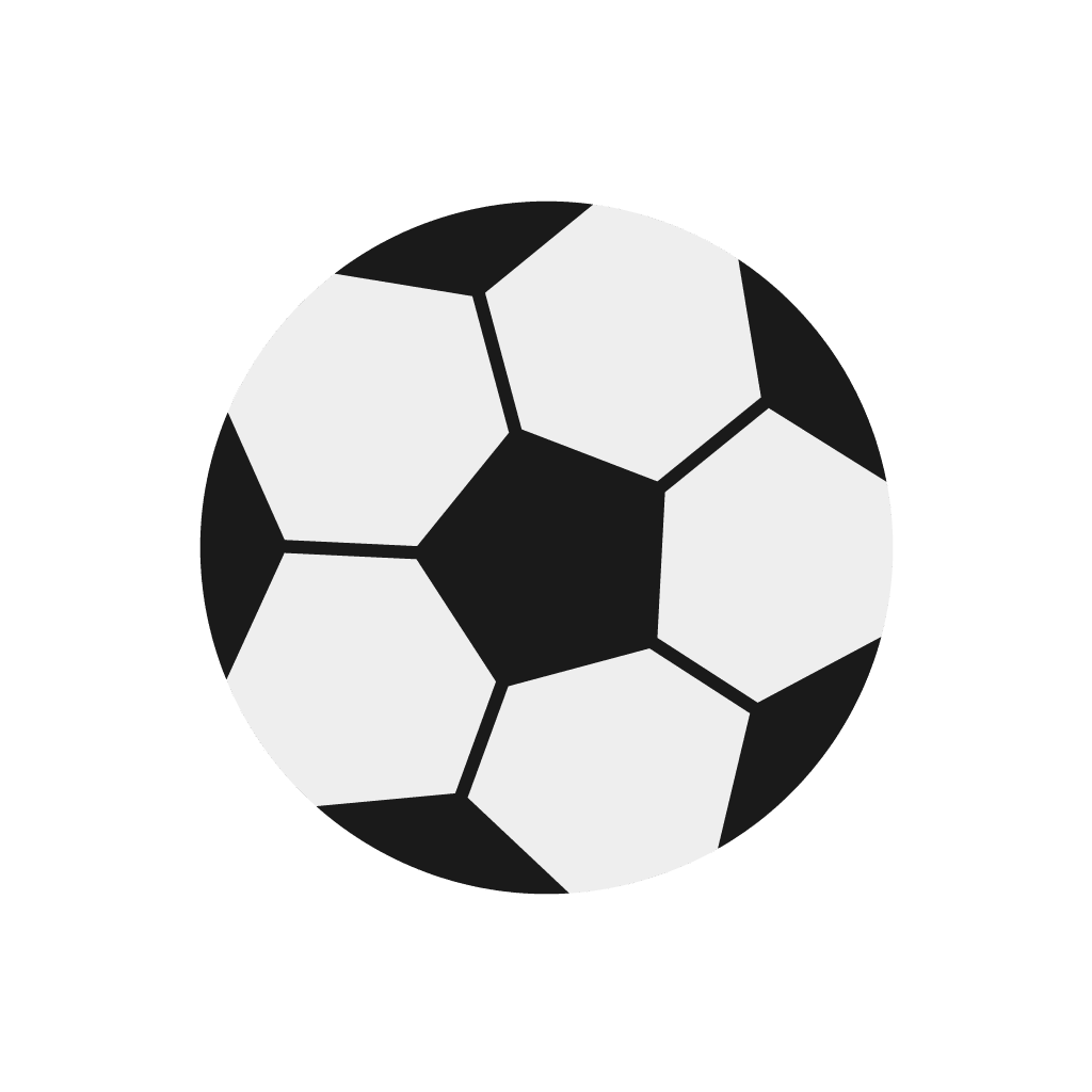 Sport Icon